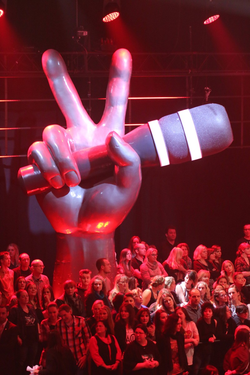 Logo: Was wurde aus den „The Voice of Germany“-Gewinner*innen?